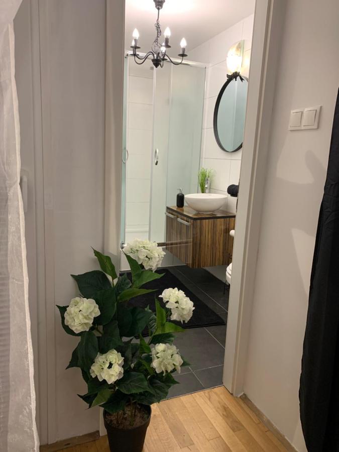 Apartment Aventus Марибор Экстерьер фото